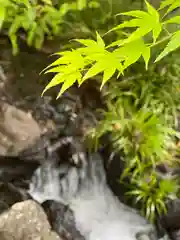 富士山本宮浅間大社(静岡県)