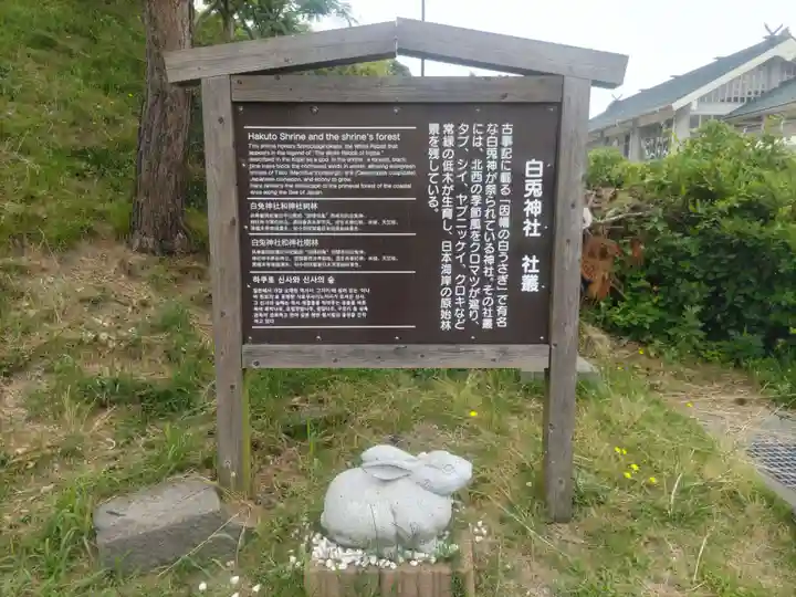 白兎神社(鳥取県)