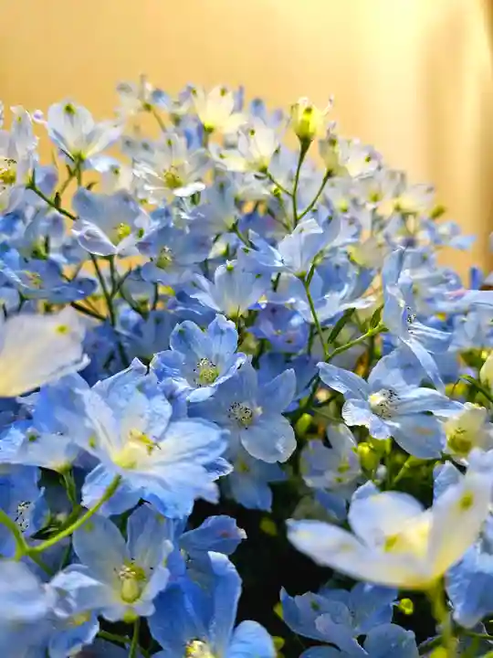 美幌神社(北海道)
