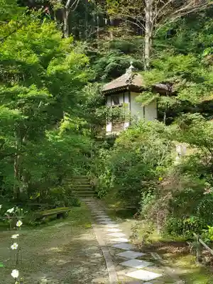 秩父札所三十二番　法性寺のその他建物