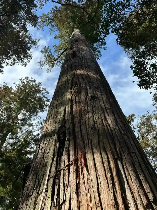 伊勢神宮内宮(皇大神宮)の{uncategorized: "未分類", other: "その他", undefined: "問題あり", building: "その他建物", grave: "お墓", sacred_gate: "鳥居", guardian: "狛犬", statue: "像", buddha: "仏像", history: "歴史", nature: "自然", garden: "庭園", animal: "動物", pagoda: "塔", temizu: "手水舎", mountain_gate: "山門・神門", sanctuary: "本殿・本堂", subordinate: "末社・摂社", art: "芸術", scenery: "景色", jizo: "地蔵", ema: "絵馬", goshuin: "御朱印", omikuji: "おみくじ", items: "授与品その他", amulet: "お守り", goshuincho: "御朱印帳", eats: "食事", festival: "お祭り", votive_dance: "神楽", shichigosan: "七五三参", wedding: "結婚式", experience: "体験その他", initially: "初詣", around: "周辺", anti_infection: "感染症対策"}