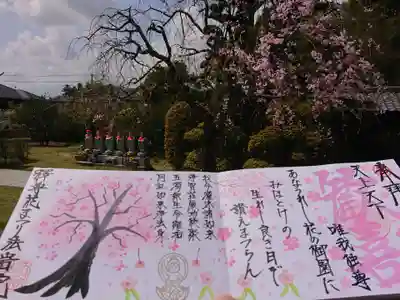 4面分に春🌸です