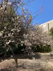 西嶋天満宮の自然