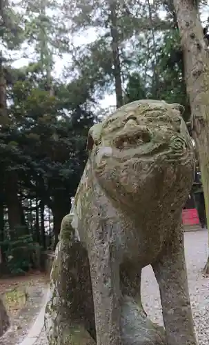 間々田八幡宮の狛犬