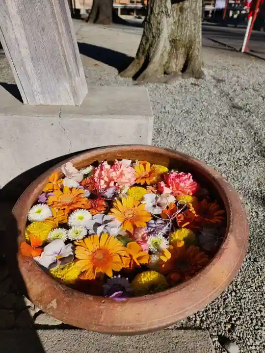 相模原氷川神社(神奈川県)