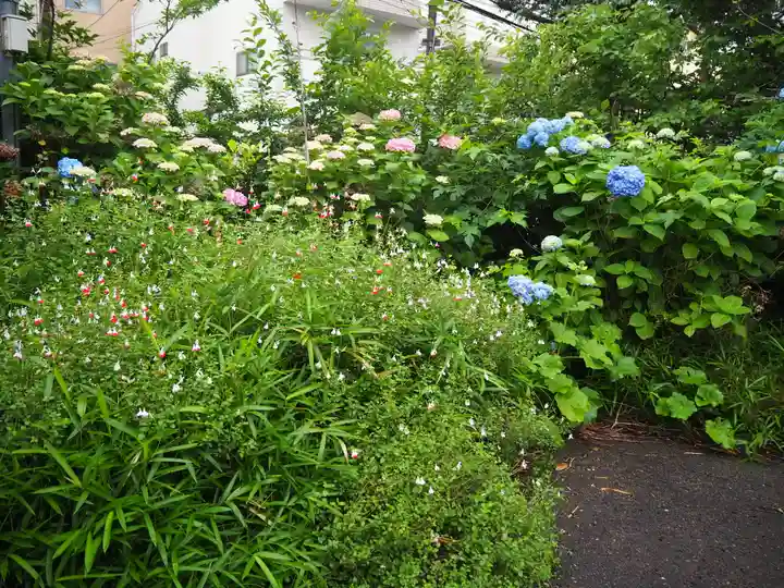 菅原神社(子安天満宮)の自然