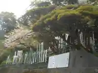 星井寺(虚空蔵堂)の景色