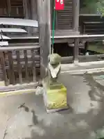 高水山常福院の狛犬