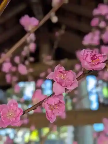 赤坂氷川神社(東京都)
