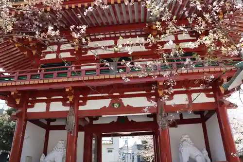 瀧泉寺（目黒不動尊）の山門