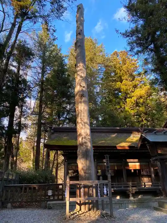 諏訪大社下社春宮の自然