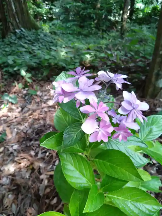狭野神社(宮崎県)