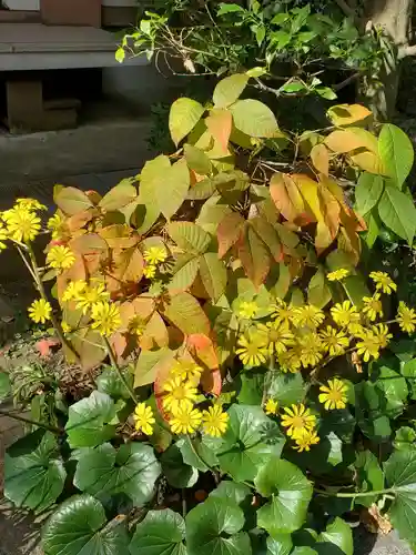 徳泉寺(宮城県)