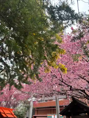 蔵前神社の{uncategorized: "未分類", other: "その他", undefined: "問題あり", building: "その他建物", grave: "お墓", sacred_gate: "鳥居", guardian: "狛犬", statue: "像", buddha: "仏像", history: "歴史", nature: "自然", garden: "庭園", animal: "動物", pagoda: "塔", temizu: "手水舎", mountain_gate: "山門・神門", sanctuary: "本殿・本堂", subordinate: "末社・摂社", art: "芸術", scenery: "景色", jizo: "地蔵", ema: "絵馬", goshuin: "御朱印", omikuji: "おみくじ", items: "授与品その他", amulet: "お守り", goshuincho: "御朱印帳", eats: "食事", festival: "お祭り", votive_dance: "神楽", shichigosan: "七五三参", wedding: "結婚式", experience: "体験その他", initially: "初詣", around: "周辺", anti_infection: "感染症対策"}