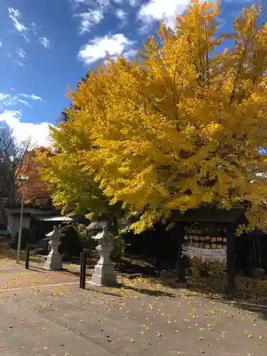 厚真神社の絵馬