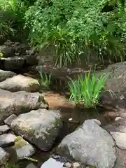 妙義神社(群馬県)