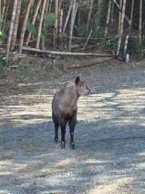 秋葉總本殿可睡斎(静岡県)