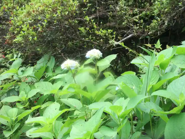 法雲寺(埼玉県)