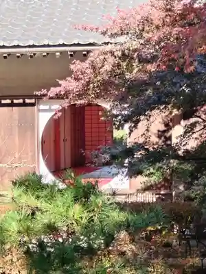 明月院(神奈川県)