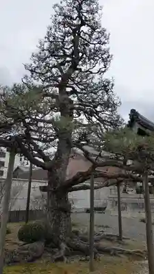 本福寺(滋賀県)