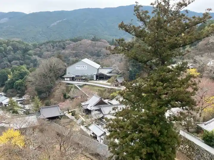 長谷寺(奈良県)