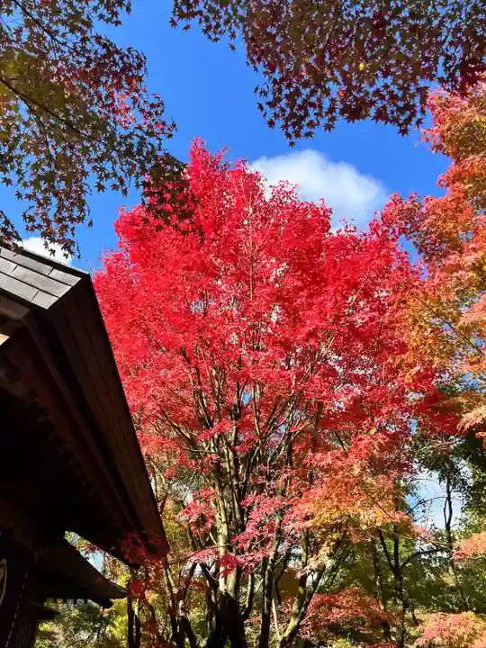 呑山観音寺(福岡県)