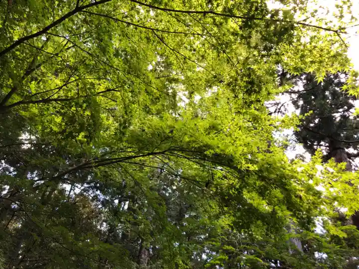 瀧原宮(皇大神宮別宮)の自然
