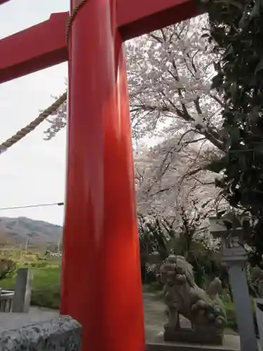 加波山神社真壁拝殿の鳥居