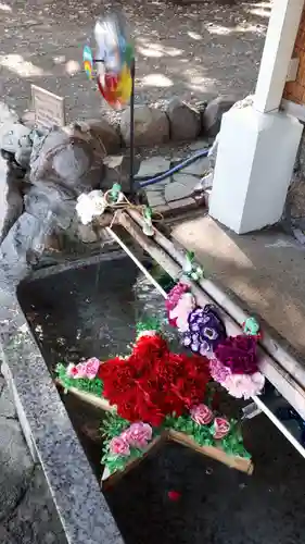 星置神社の手水