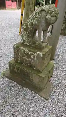 間々田八幡宮の狛犬