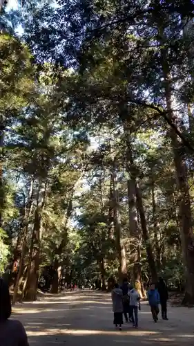 鹿島神宮の自然