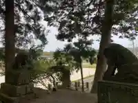 河伯神社の狛犬