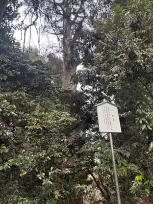 一之宮貫前神社(群馬県)