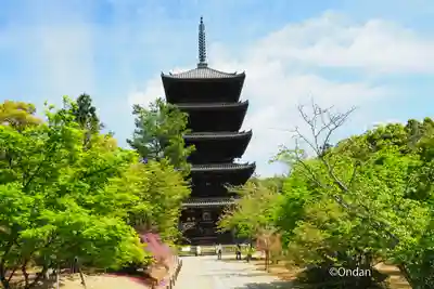 仁和寺(京都府)