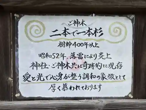 鹿嶋三嶋神社(茨城県)