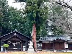 瀧澤神社(長野県)