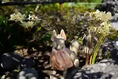 東京羽田 穴守稲荷神社(東京都)