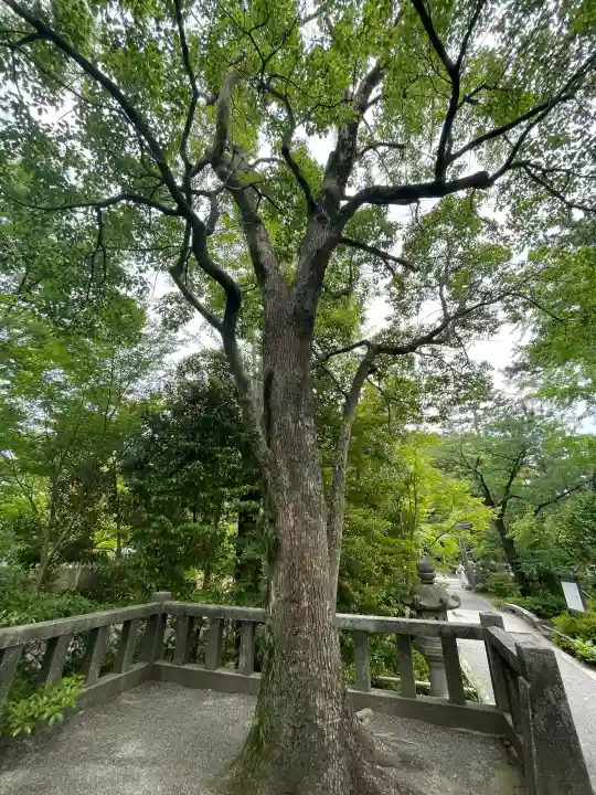 宮山神社の{uncategorized: "未分類", other: "その他", undefined: "問題あり", building: "その他建物", grave: "お墓", sacred_gate: "鳥居", guardian: "狛犬", statue: "像", buddha: "仏像", history: "歴史", nature: "自然", garden: "庭園", animal: "動物", pagoda: "塔", temizu: "手水舎", mountain_gate: "山門・神門", sanctuary: "本殿・本堂", subordinate: "末社・摂社", art: "芸術", scenery: "景色", jizo: "地蔵", ema: "絵馬", goshuin: "御朱印", omikuji: "おみくじ", items: "授与品その他", amulet: "お守り", goshuincho: "御朱印帳", eats: "食事", festival: "お祭り", votive_dance: "神楽", shichigosan: "七五三参", wedding: "結婚式", experience: "体験その他", initially: "初詣", around: "周辺", anti_infection: "感染症対策"}