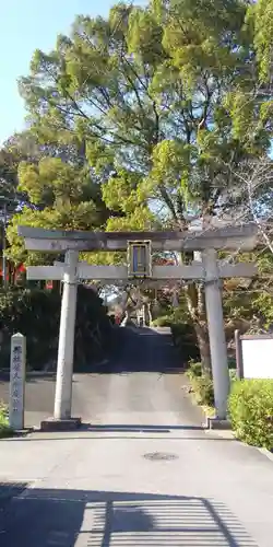 佐久奈度神社の鳥居