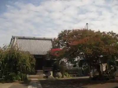 本興寺の自然