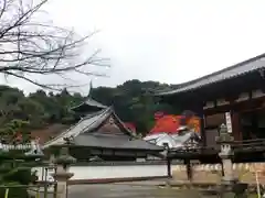 當麻寺(奈良県)