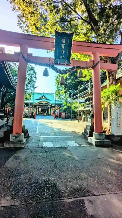 須賀神社の鳥居