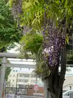 國領神社の鳥居