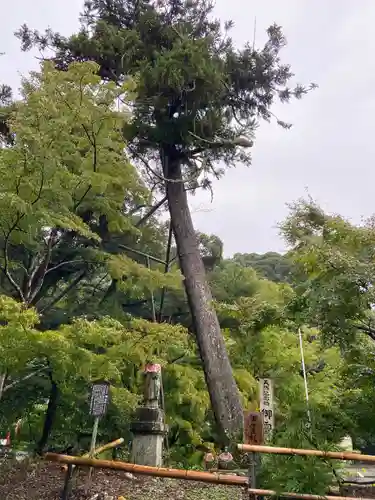 目の霊山　油山寺の景色