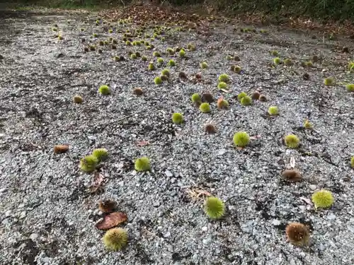 川内多々奴比神社(兵庫県)