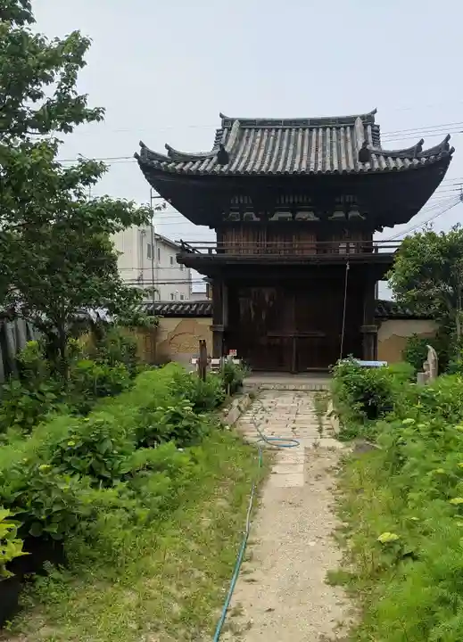 般若寺 ❁コスモス寺❁(奈良県)