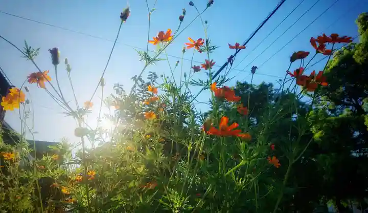 尾張大國霊神社(国府宮)の周辺