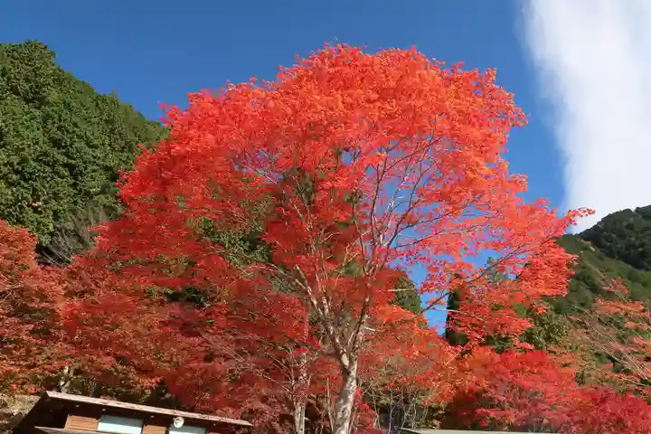 竜神神社(岐阜県)