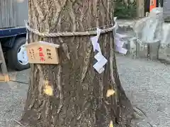 田無神社(東京都)