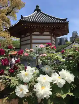 西新井大師総持寺のその他建物